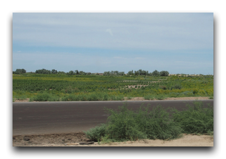 P8090045