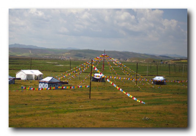 P8293992