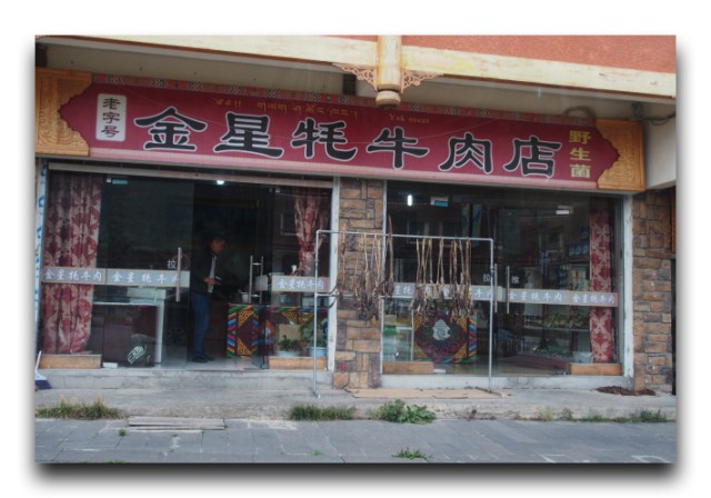 P8303781
