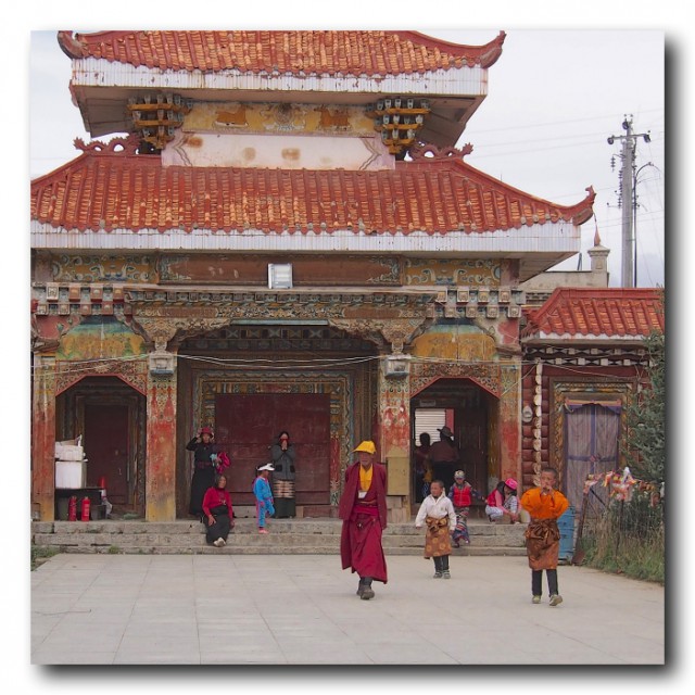 P9050770