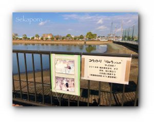 明石にコウノトリがやってきた!でもその場所は… 地球のこと