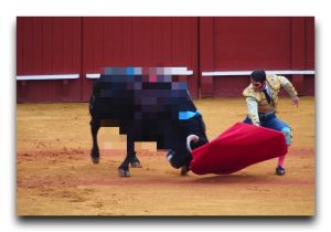 血と涙に濡れた日。闘牛の悲しい結末。 Spain / スペイン